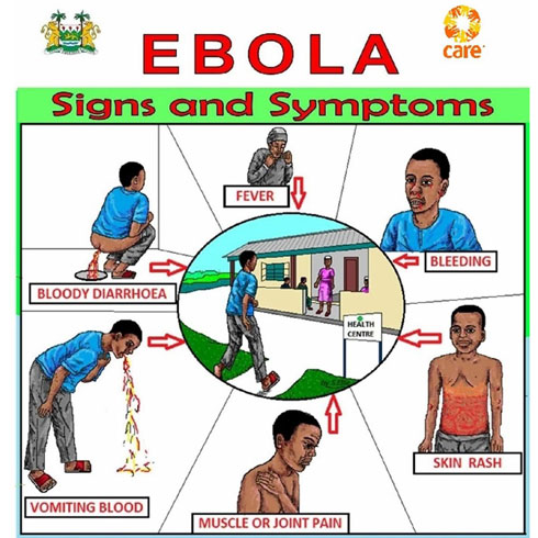 Une image explique les symptômes et le processus de la maladie d'Ebola.
