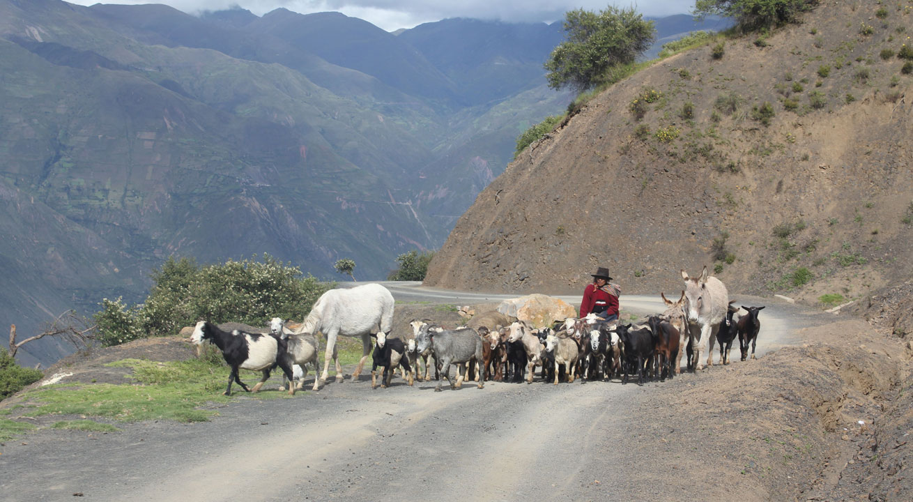 Sécheresses, froids et pluis abondantes diminuent les récoltes. Photo: CARE