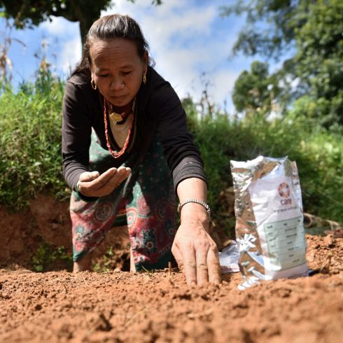 Une femme plante des graines dans la terre.