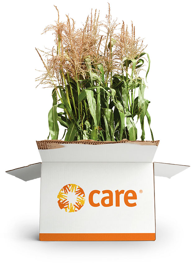 CARE-Paket, aus dem Mais wächst